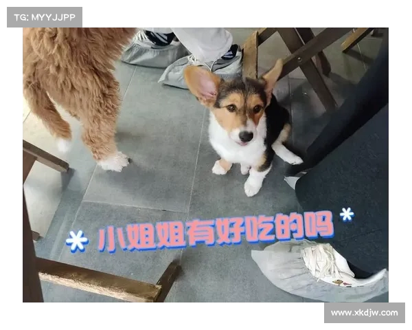 李雪琴现身奶茶店排队被拍，简约穿搭凸显亲和力，风波未改她的好心情