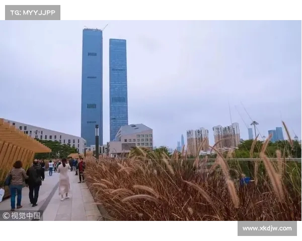 深圳市民期待已久的公园改造项目迎来好消息，三年等待终有回报！