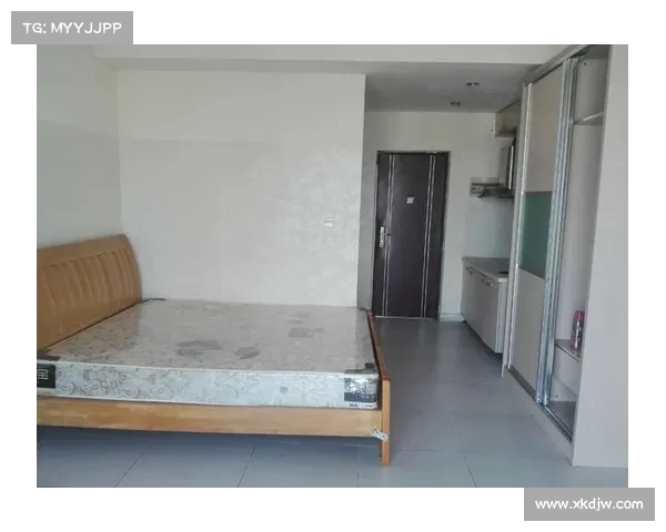 琼泰的成功之路：从创业初期到行业领航者的转变(琼泰公寓)