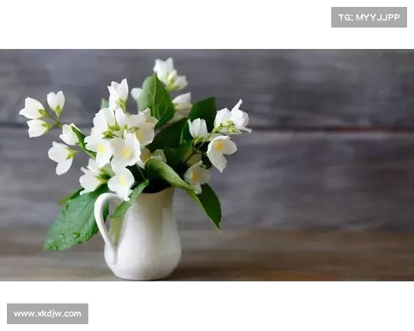 快船队多点开花,完美取胜 快船队多点开花,完美取胜